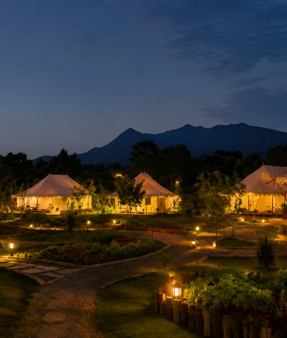 Eco Tourism